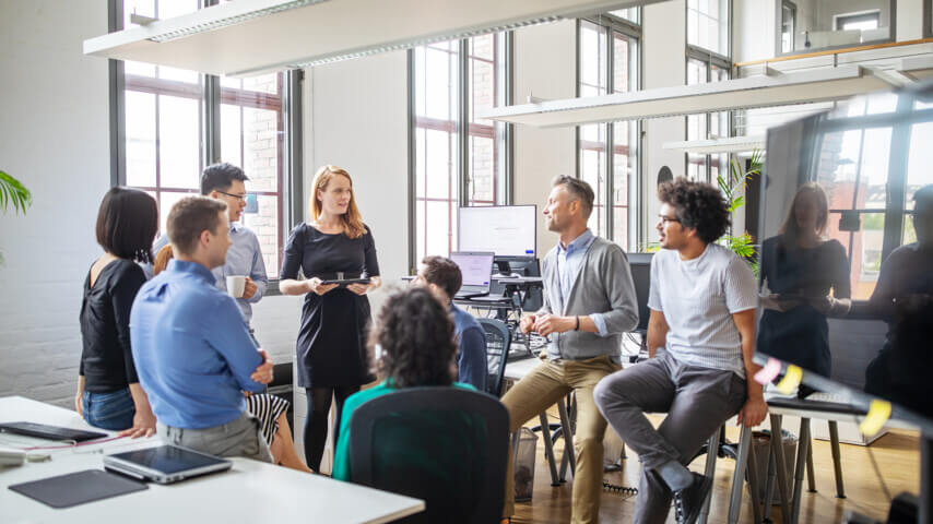 An amicable alliance between software houses
